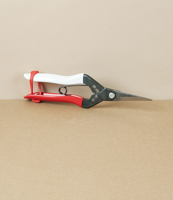 Okatsune Flower & Cuttings Snips, No.304
