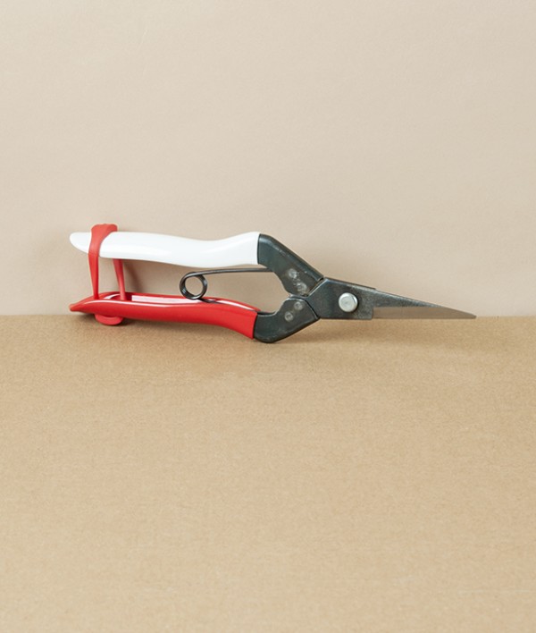 Okatsune Flower & Cuttings Snips, No.304