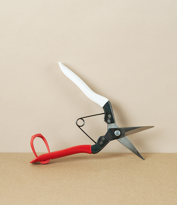 Okatsune Flower & Cuttings Snips, No.304