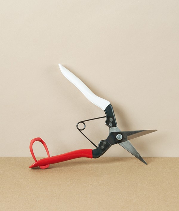 Okatsune Flower & Cuttings Snips, No.304