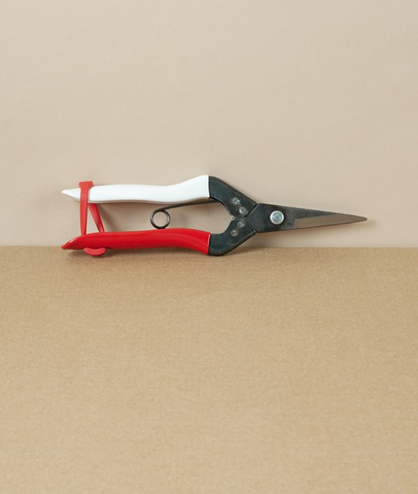 Okatsune Flower & Cuttings Snips, No.304