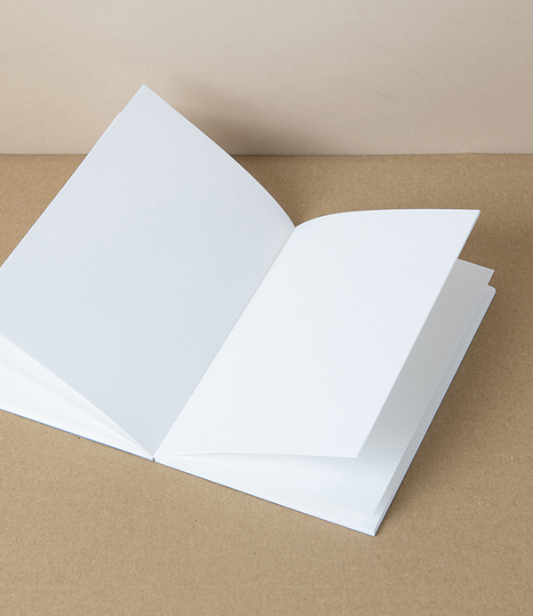 Taisei 'Pad Note' Pocket Notebook, Plain, Ice Blue