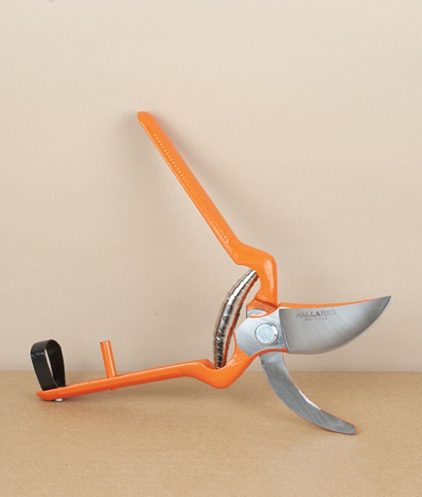 Spanish Pruning Shears or Secateurs
