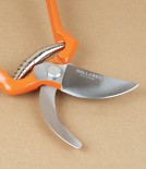 Spanish Pruning Shears or Secateurs