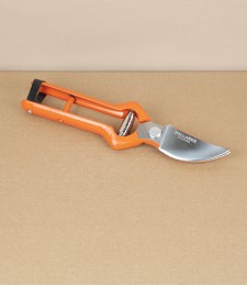 Spanish Pruning Shears or Secateurs