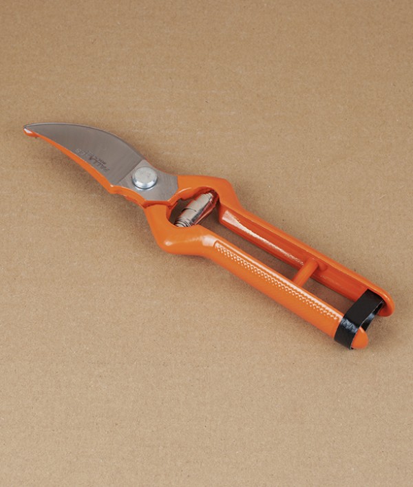 Spanish Pruning Shears or Secateurs