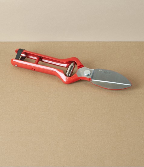 Spanish Grape Harvesters, Tijera Vendimia