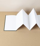 Taisei Artist's Panorama Note, Green