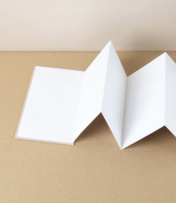 Taisei Artist's Panorama Note, Camel