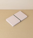 Taisei Artist's Panorama Note, Camel