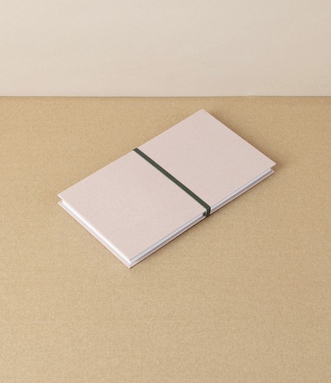 Taisei Artist's Panorama Note, Camel