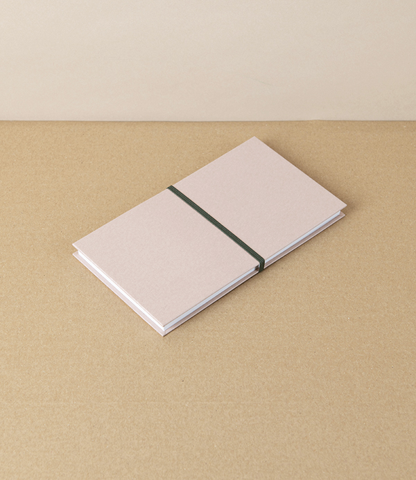 Taisei Artist's Panorama Note, Camel