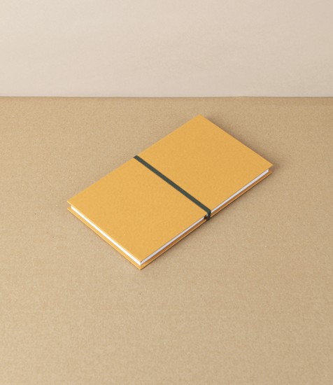 Taisei Artist's Panorama Note, Yellow