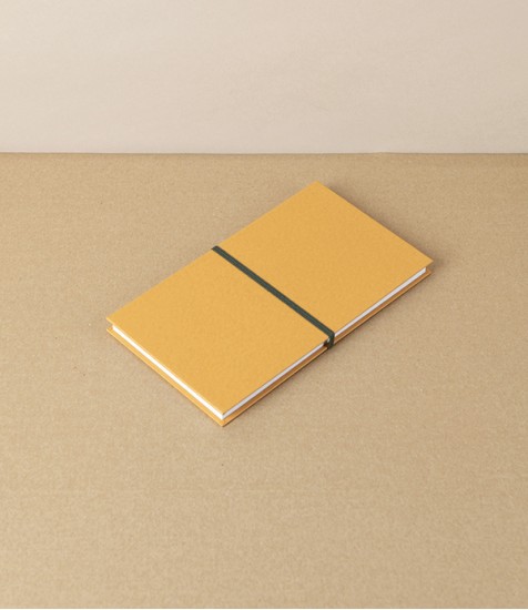 Taisei Artist's Panorama Note, Yellow