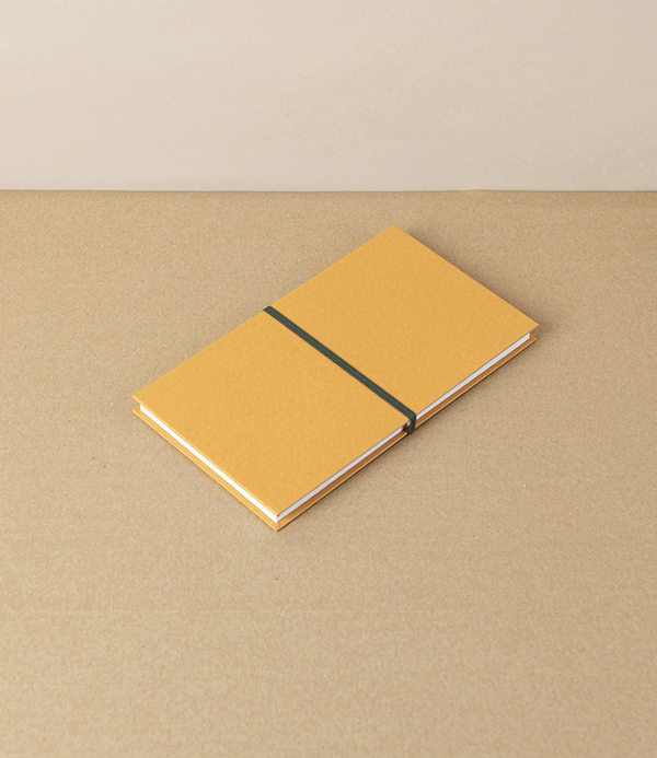 Taisei Artist's Panorama Note, Yellow