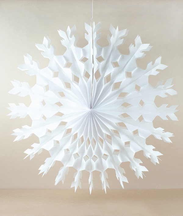 Paper Fan Decoration, Large Feather