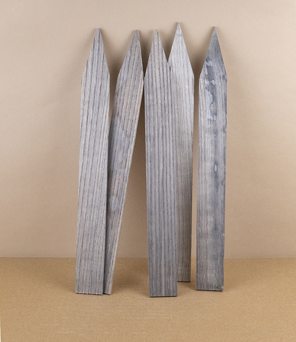Hand-made wooden plant labels