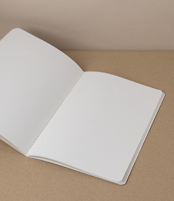 Three Sugarcane Eco-Notebooks, A5, Plain