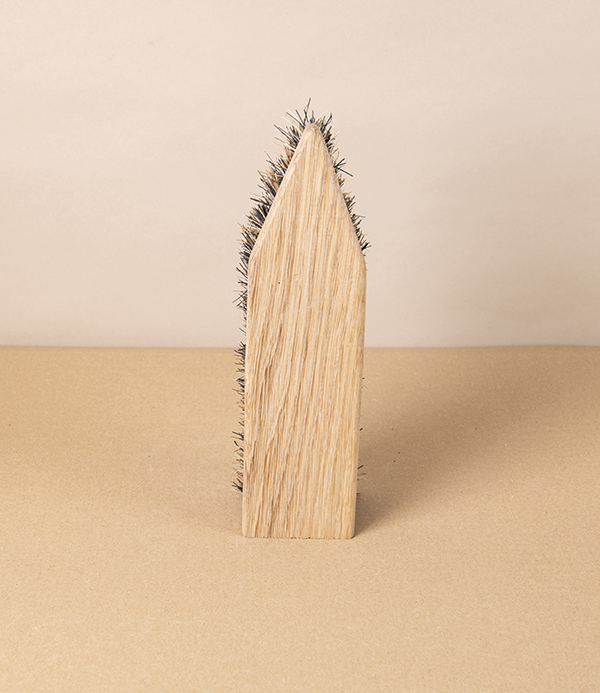 Shoe Cleaning Brush or Shoe Scrubber