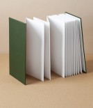 Taisei Artist's Panorama Note, Green