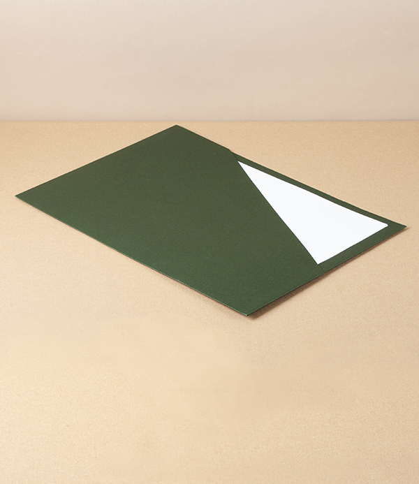Taisei Sustainable Paper Pocket File, Green