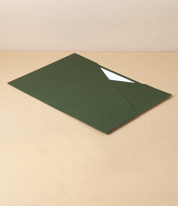 Taisei Sustainable Paper Pocket File, Green