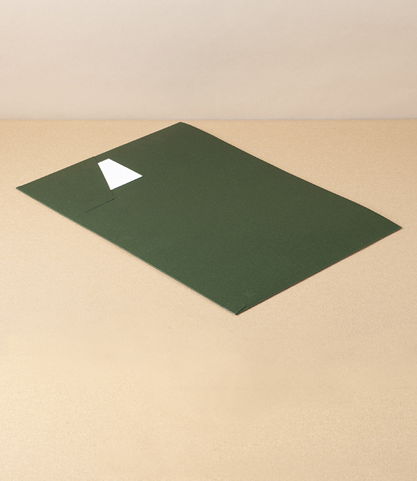 Taisei Sustainable Paper Pocket File, Green