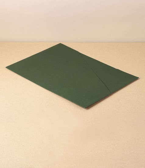 Taisei Sustainable Paper Pocket File, Green