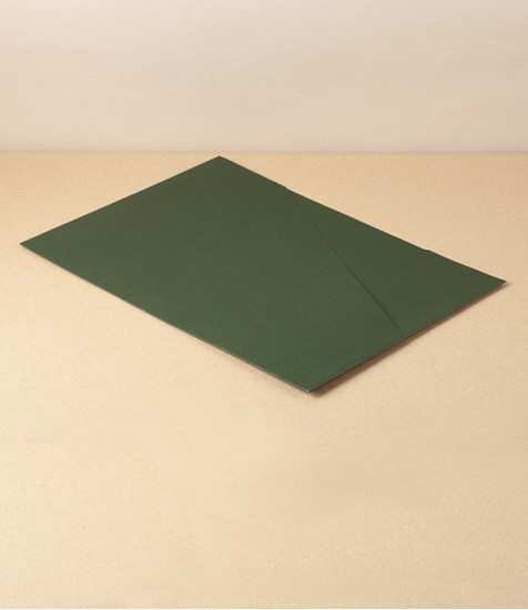 Taisei Sustainable Paper Pocket File, Green
