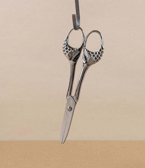 WaSa Solingen Grape Scissors, Nickel Plated