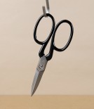 WaSa Solingen Weaver’s Scissors with Black Japanned Handles