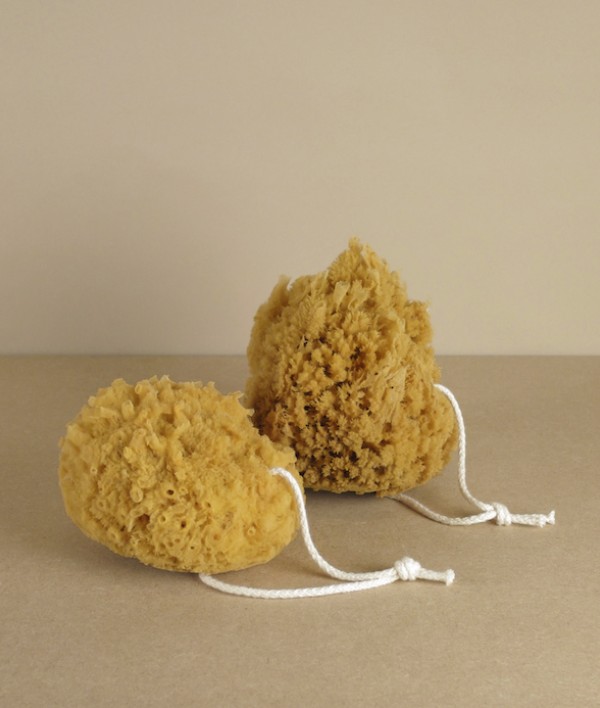 Sustainably sourced natural bath sponge