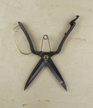 Japanese topiary shears
