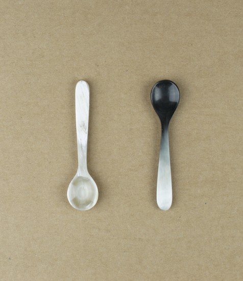 Salt or spice spoon