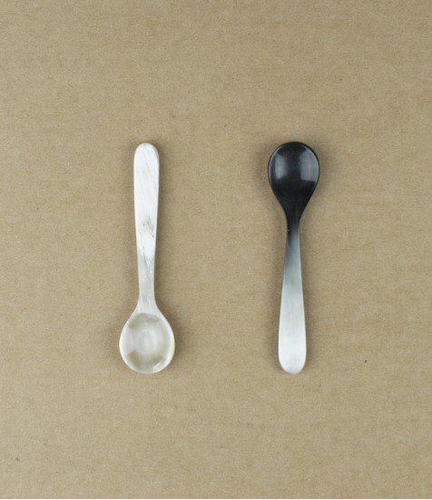 Salt or spice spoon