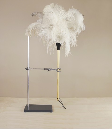Ostrich feather duster, whitewood & white feathers