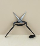 Japanese rose and thinning shears