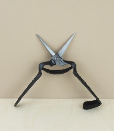 Japanese rose and thinning shears