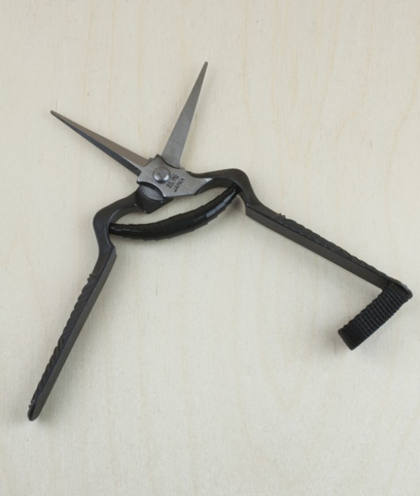 Japanese rose and thinning shears