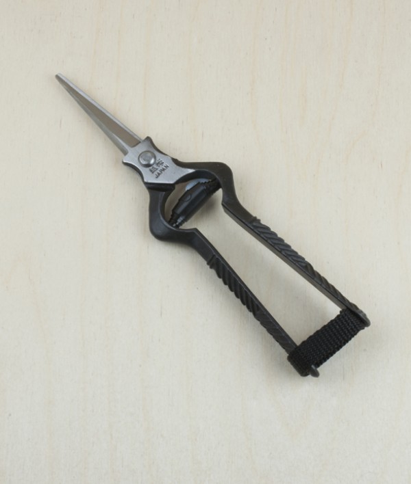 Japanese rose and thinning shears