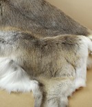 Reindeer hide