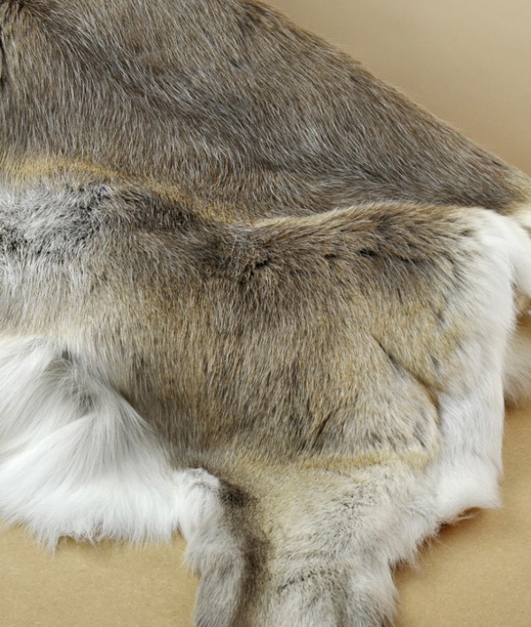 Reindeer hide