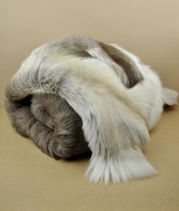 Reindeer hide