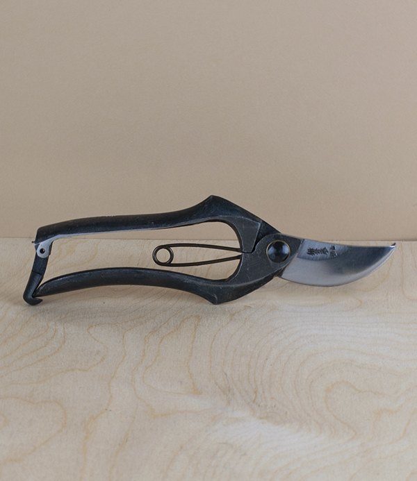 Sentaihasami, Japanese vine shears