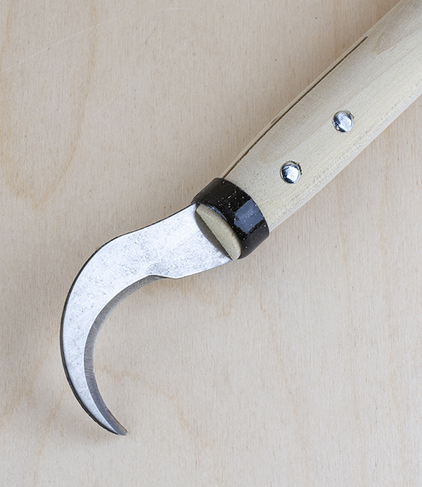 Japanese zucchini harvester, poplar handle