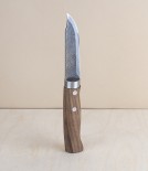 Kiridashi gardener's and outdoor knife